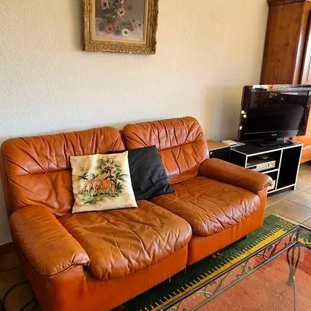 Le Champ Ensoleille De Bogis-Bossey